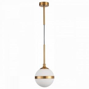 Подвесной светильник ST-Luce Arbe SL1157.303.01 в Соликамске - solikamsk.mebel24.online | фото 2