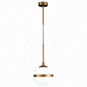 Подвесной светильник ST-Luce Arbe SL1157.303.01 в Соликамске - solikamsk.mebel24.online | фото 3