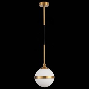 Подвесной светильник ST-Luce Arbe SL1157.303.01 в Соликамске - solikamsk.mebel24.online | фото 4