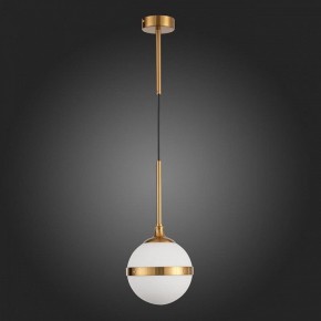 Подвесной светильник ST-Luce Arbe SL1157.303.01 в Соликамске - solikamsk.mebel24.online | фото 5