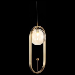 Подвесной светильник ST-Luce Circono SL1201.203.01 в Соликамске - solikamsk.mebel24.online | фото 4