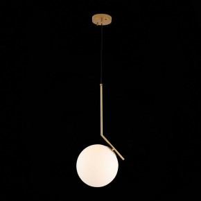 Подвесной светильник ST-Luce Codda SL1148.303.01 в Соликамске - solikamsk.mebel24.online | фото 5