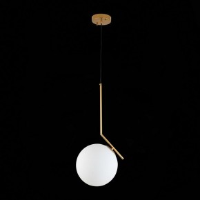 Подвесной светильник ST-Luce Codda SL1148.303.01 в Соликамске - solikamsk.mebel24.online | фото 6