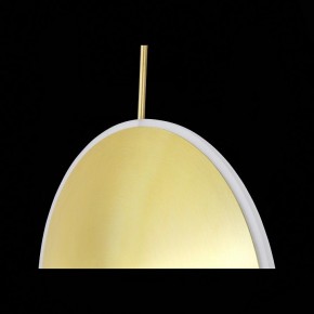 Подвесной светильник ST-Luce Imente SL1221.213.01 в Соликамске - solikamsk.mebel24.online | фото 9