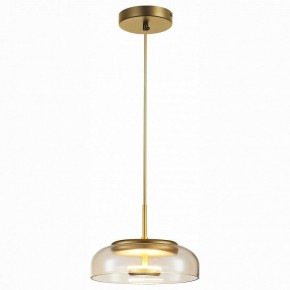 Подвесной светильник ST-Luce Lacio SL6002.203.01 в Соликамске - solikamsk.mebel24.online | фото