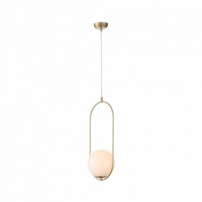 Подвесной светильник ST-Luce Penolo SL1118.203.01 в Соликамске - solikamsk.mebel24.online | фото 3