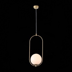 Подвесной светильник ST-Luce Penolo SL1118.203.01 в Соликамске - solikamsk.mebel24.online | фото 6