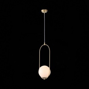 Подвесной светильник ST-Luce Penolo SL1118.203.01 в Соликамске - solikamsk.mebel24.online | фото 7