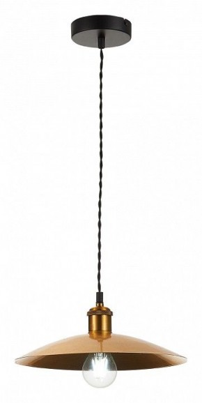 Подвесной светильник ST-Luce Romo SL1017.203.01 в Соликамске - solikamsk.mebel24.online | фото 4