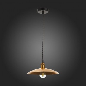 Подвесной светильник ST-Luce Romo SL1017.203.01 в Соликамске - solikamsk.mebel24.online | фото 7