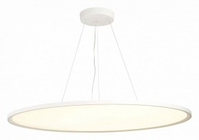 Подвесной светильник ST-Luce ST602 ST602.543.120 в Соликамске - solikamsk.mebel24.online | фото 3