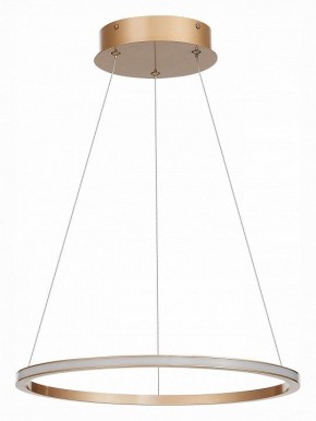 Подвесной светильник ST-Luce ST604 OUT ST604.243.22 в Соликамске - solikamsk.mebel24.online | фото 2