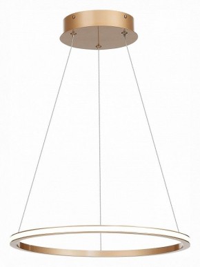 Подвесной светильник ST-Luce ST604 OUT ST604.243.22 в Соликамске - solikamsk.mebel24.online | фото 3
