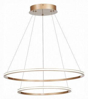 Подвесной светильник ST-Luce ST604 OUT ST604.243.56 в Соликамске - solikamsk.mebel24.online | фото 3
