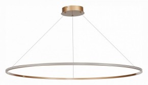 Подвесной светильник ST-Luce ST604 OUT ST604.243.57 в Соликамске - solikamsk.mebel24.online | фото 2