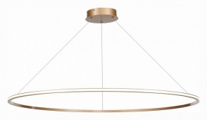 Подвесной светильник ST-Luce ST604 OUT ST604.243.57 в Соликамске - solikamsk.mebel24.online | фото 3