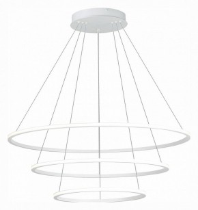 Подвесной светильник ST-Luce ST604 OUT ST604.543.114 в Соликамске - solikamsk.mebel24.online | фото 3