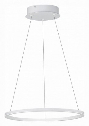 Подвесной светильник ST-Luce ST604 OUT ST604.543.22 в Соликамске - solikamsk.mebel24.online | фото 2