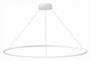 Подвесной светильник ST-Luce ST604 OUT ST604.543.46 в Соликамске - solikamsk.mebel24.online | фото 2