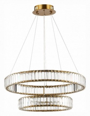 Подвесной светильник ST-Luce Tivoli SL1622.303.02 в Соликамске - solikamsk.mebel24.online | фото 2