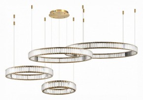 Подвесной светильник ST-Luce Tivoli SL1622.303.04 в Соликамске - solikamsk.mebel24.online | фото 3