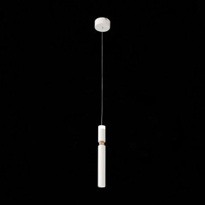 Подвесной светильник ST-Luce Tuore SL1592.503.01 в Соликамске - solikamsk.mebel24.online | фото 6