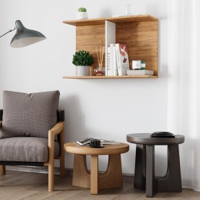 Полка Ион-3 (крафт/белый) в Соликамске - solikamsk.mebel24.online | фото 3