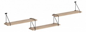 Полка навесная Coffee SH4-ROD/BAR в Соликамске - solikamsk.mebel24.online | фото