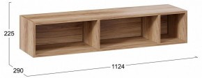 Полка навесная ТД-102.28 в Соликамске - solikamsk.mebel24.online | фото 9