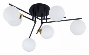 Потолочная люстра Arte Lamp Gemini A2243PL-6BK в Соликамске - solikamsk.mebel24.online | фото
