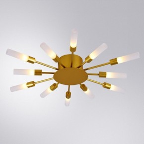 Потолочная люстра Arte Lamp Maple A1276PL-12GO в Соликамске - solikamsk.mebel24.online | фото 1