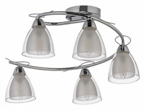 Потолочная люстра Arti Lampadari Paola, Tavenna Nickel Paola E 1.1.5 N в Соликамске - solikamsk.mebel24.online | фото