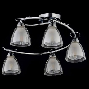 Потолочная люстра Arti Lampadari Paola, Tavenna Nickel Paola E 1.1.5 N в Соликамске - solikamsk.mebel24.online | фото 2