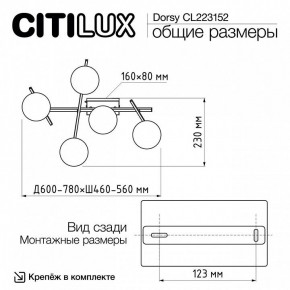 Потолочная люстра Citilux Dorsy CL223152 в Соликамске - solikamsk.mebel24.online | фото 10