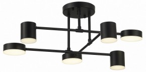Потолочная люстра EVOLUCE Nobel SLE201042-06 в Соликамске - solikamsk.mebel24.online | фото 10