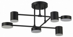 Потолочная люстра EVOLUCE Nobel SLE201042-06 в Соликамске - solikamsk.mebel24.online | фото 11