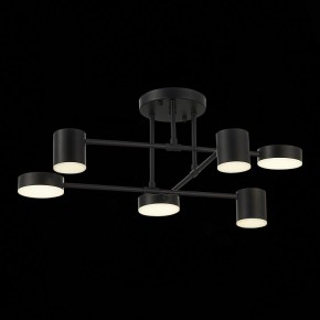 Потолочная люстра EVOLUCE Nobel SLE201042-06 в Соликамске - solikamsk.mebel24.online | фото 13