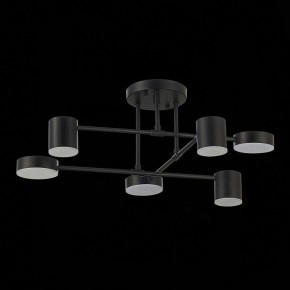 Потолочная люстра EVOLUCE Nobel SLE201042-06 в Соликамске - solikamsk.mebel24.online | фото 14