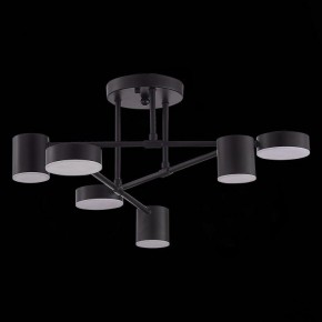 Потолочная люстра EVOLUCE Nobel SLE201042-06 в Соликамске - solikamsk.mebel24.online | фото 2