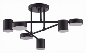 Потолочная люстра EVOLUCE Nobel SLE201042-06 в Соликамске - solikamsk.mebel24.online | фото 3