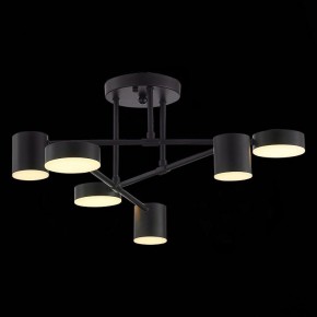 Потолочная люстра EVOLUCE Nobel SLE201042-06 в Соликамске - solikamsk.mebel24.online | фото 7