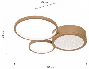 Потолочная люстра F-promo Campus 4681-3C в Соликамске - solikamsk.mebel24.online | фото 7