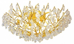 Потолочная люстра Favourite Pluvia 4162-10C в Соликамске - solikamsk.mebel24.online | фото 2