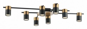 Потолочная люстра Favourite Topper 2825-8P в Соликамске - solikamsk.mebel24.online | фото 2