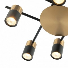 Потолочная люстра Favourite Topper 2825-8P в Соликамске - solikamsk.mebel24.online | фото 3
