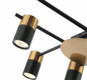 Потолочная люстра Favourite Topper 2825-8P в Соликамске - solikamsk.mebel24.online | фото 4