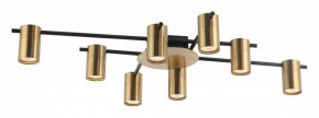 Потолочная люстра Favourite Topper 2827-8P в Соликамске - solikamsk.mebel24.online | фото 2
