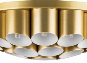Потолочная люстра Lightstar Siena 720222 в Соликамске - solikamsk.mebel24.online | фото 3
