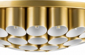 Потолочная люстра Lightstar Siena 720402 в Соликамске - solikamsk.mebel24.online | фото 3