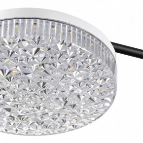 Потолочная люстра Lumion Didana 8236/4CL в Соликамске - solikamsk.mebel24.online | фото 10